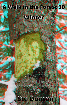 Winter3D.png Winter3D.png