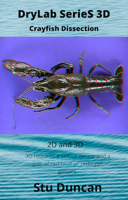 crayfishcover.png crayfishcover.png
