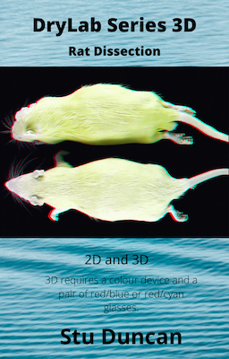 ratcover.png ratcover.png