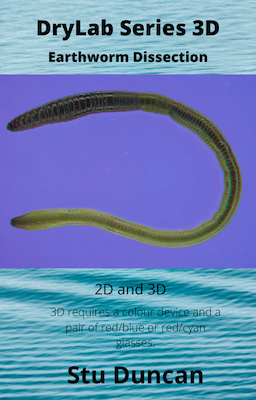 wormcover.png wormcover.png